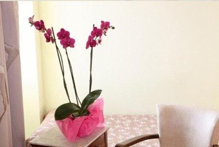 Chambre Quadruple
