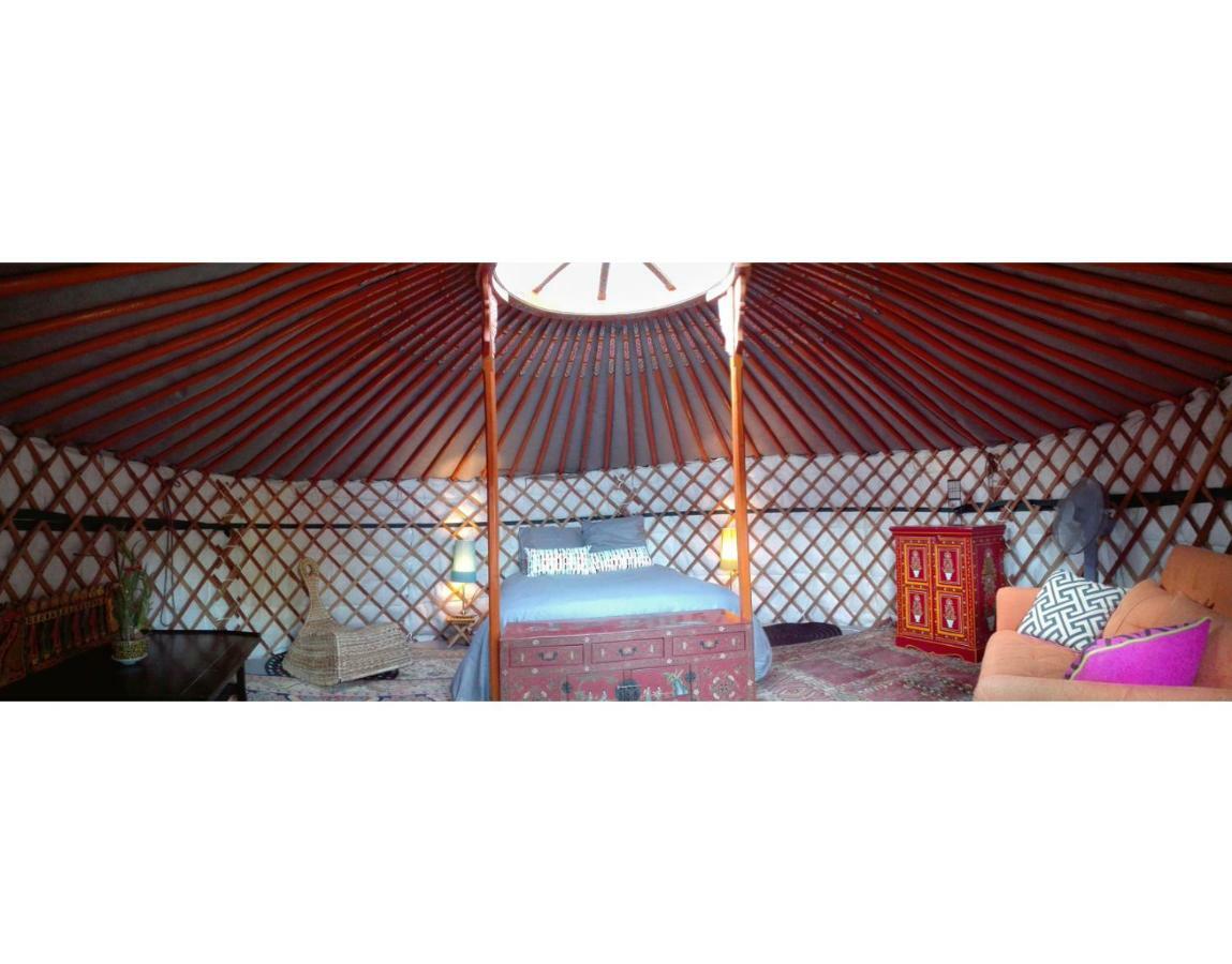 Tent,869223965:JPEG