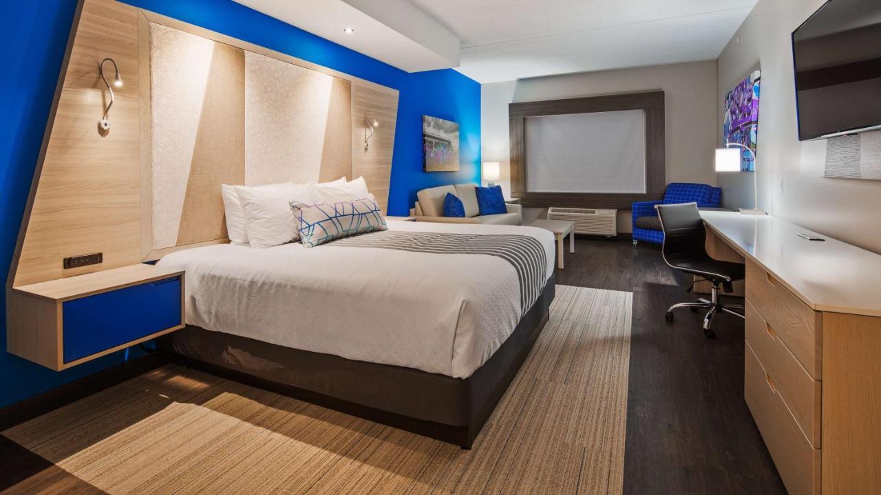 King Room Sofa Bed Non-Smoking or Pet Friendly