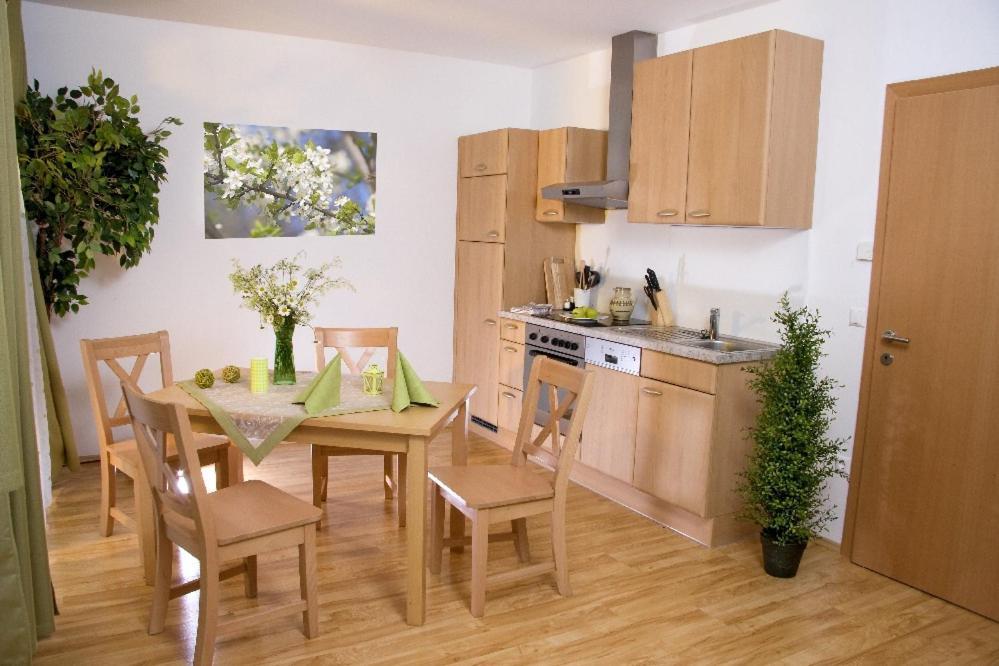 Apartment - Erdgeschoss