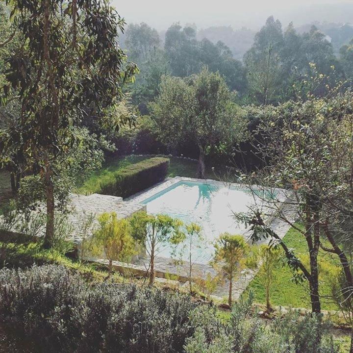 Suite Pool View,957982837:JPEG