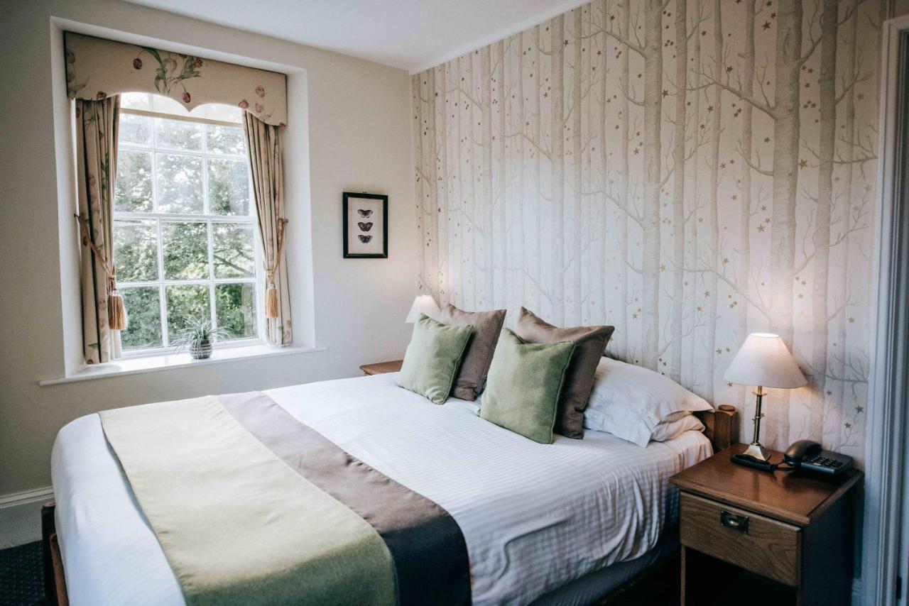 Double Room,973670710:JPEG