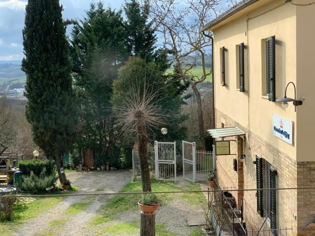 Studio Garden View