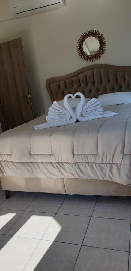 King Studio with Sofa Bed