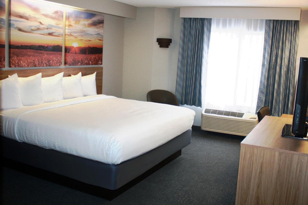 Standard King Room - Non-Smoking