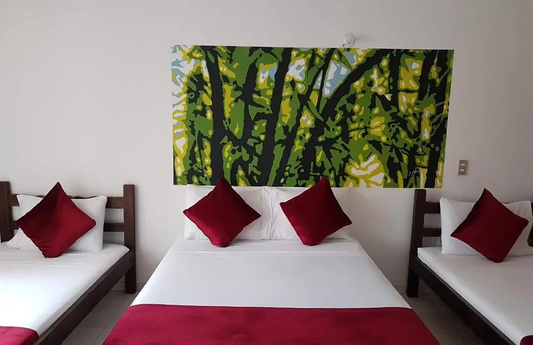 Hotel Don Juan Colonial-1