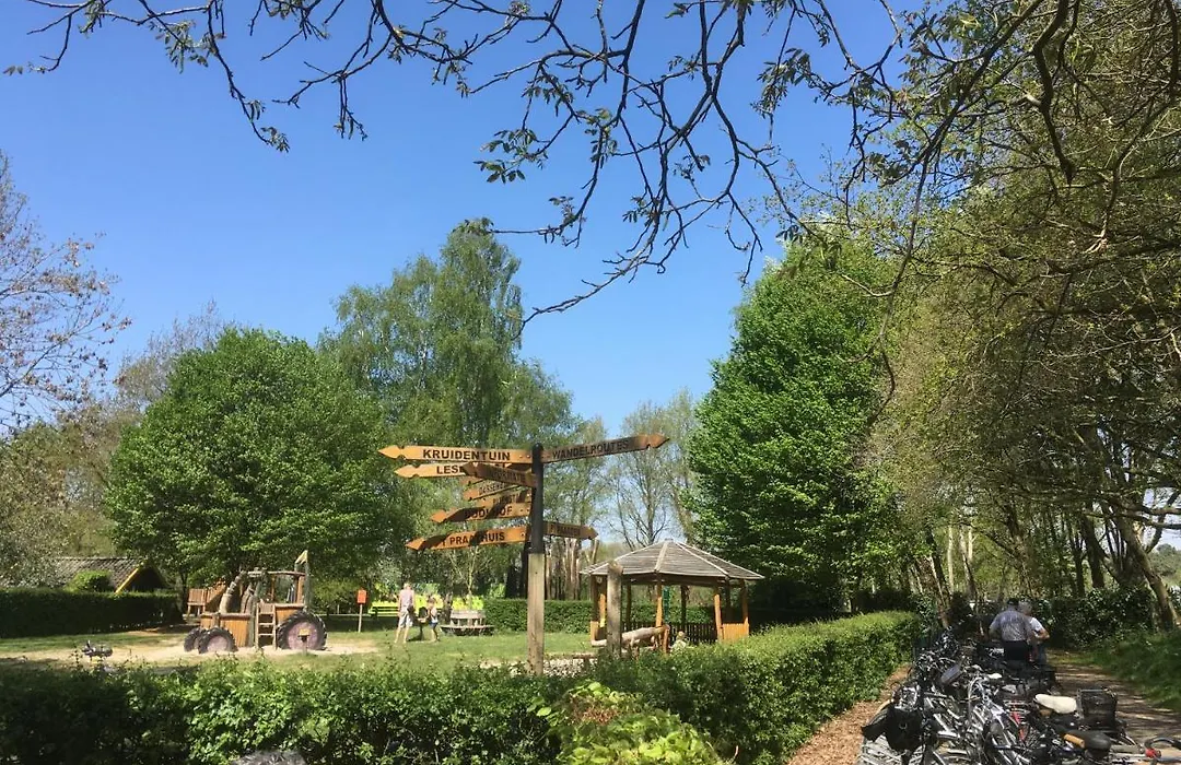 B&B bij Bedaf-1
