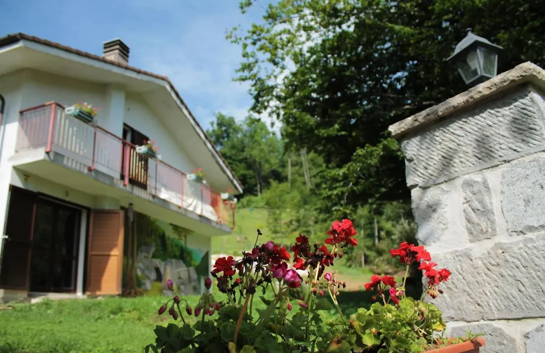 Bosco delle Rune ..un angolo di paradiso-1
