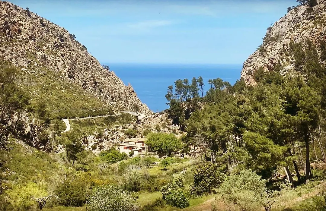Finca Ses Fontanelles-1