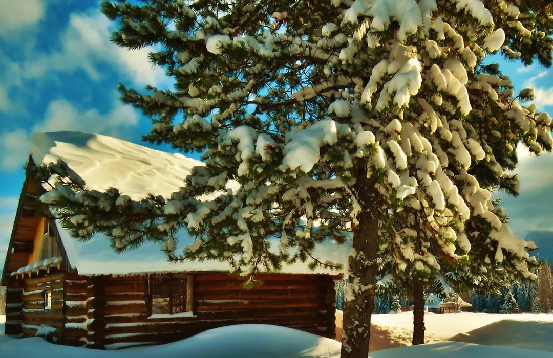 Rocky Ridge Resort-Bc-1
