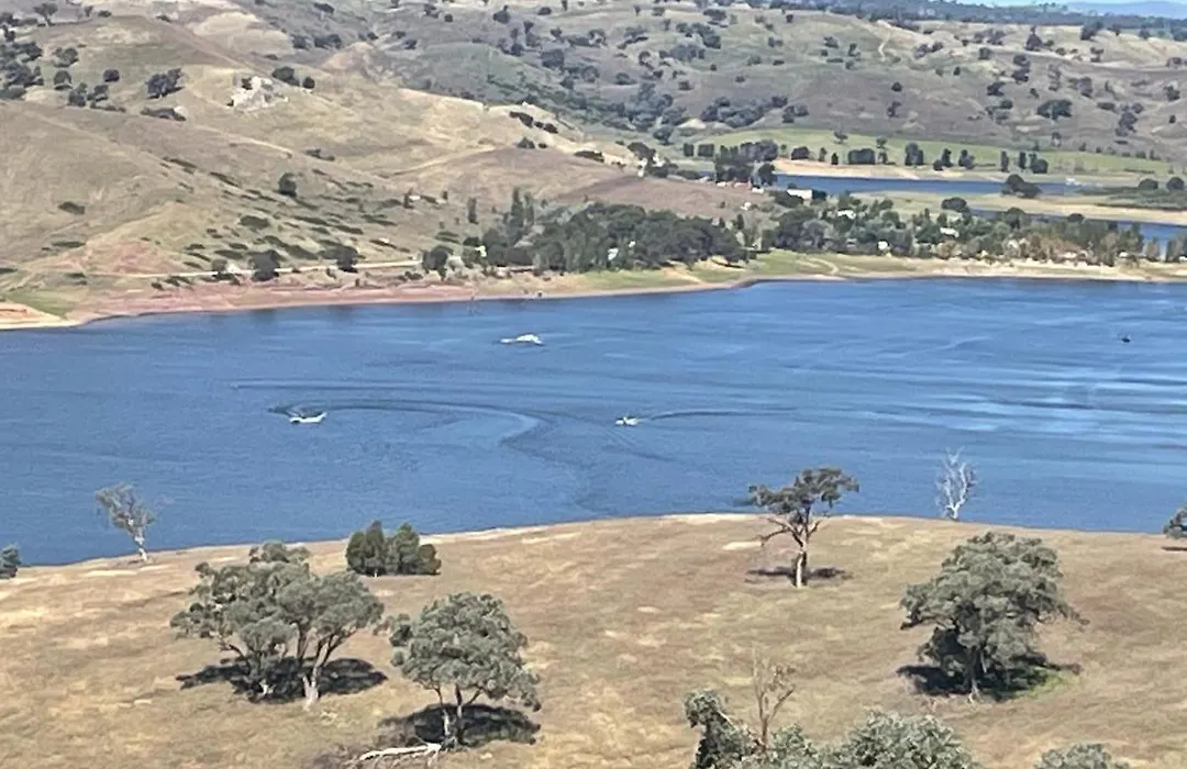 Amazing Views Pet Friendly Bed And Breakfast-1