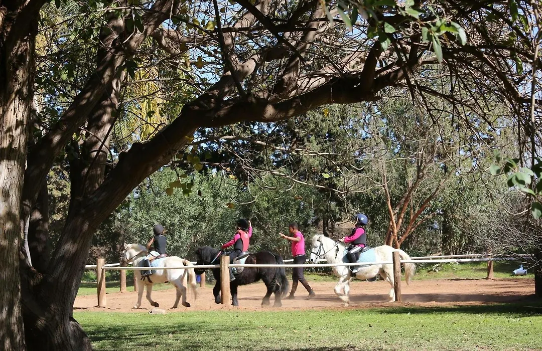La Vie En Rose - Horses&Dogs House-1