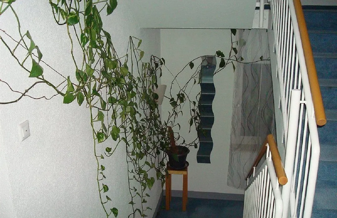 Stadthotel Marburg-1