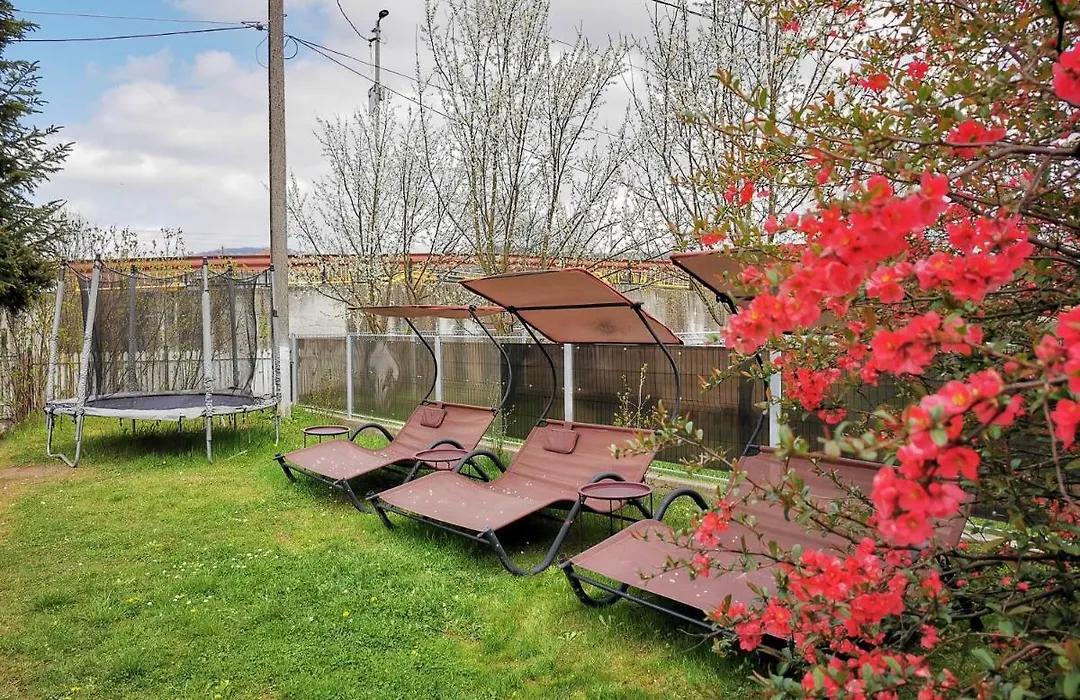 Pension Sf Nicolae-1