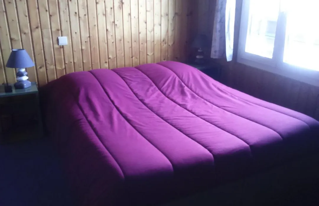 Hotel Les Sapins-1