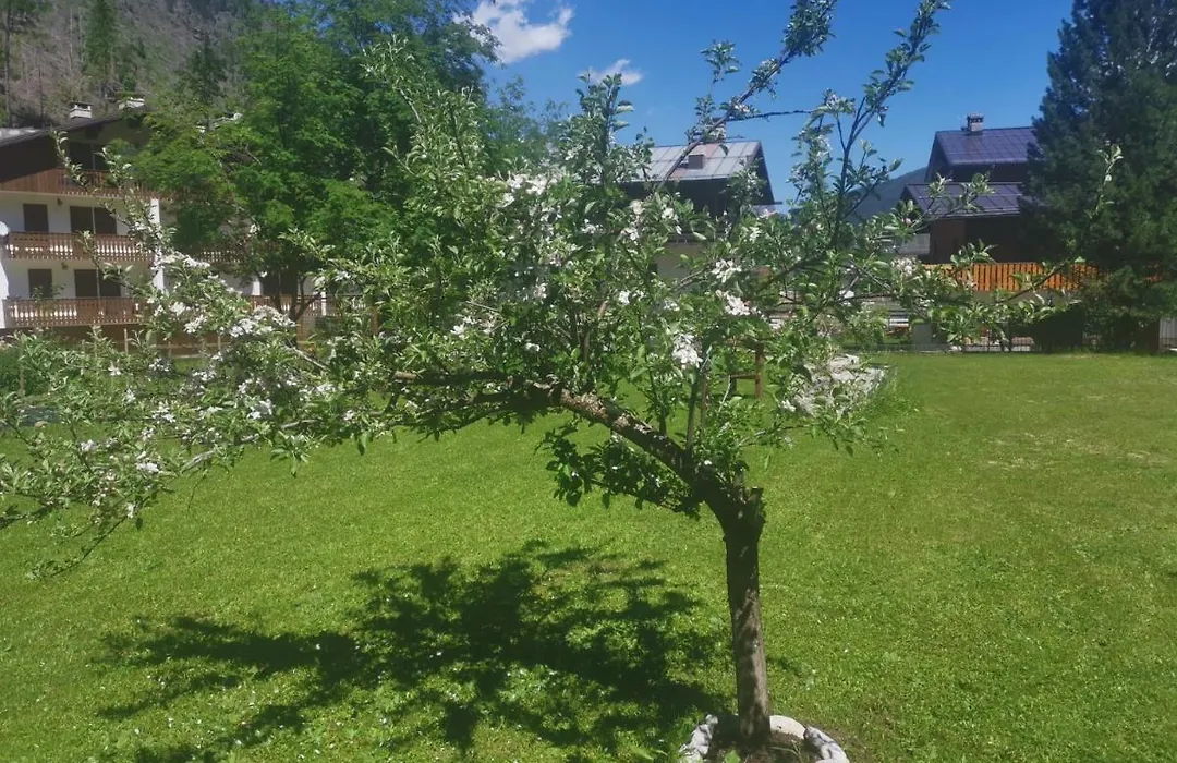 Hotel Rosalpina-1