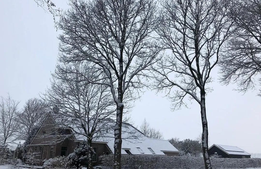 Bed & Breakfast Ter Borg-1