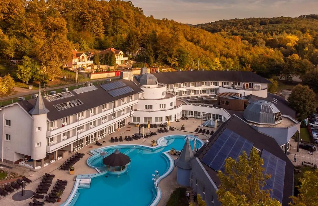 Ambient Hotel&Aroma Spa-1