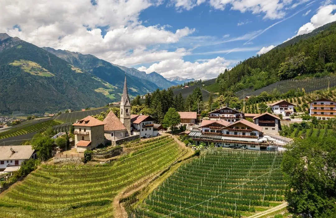 Hotel Moserhof-1