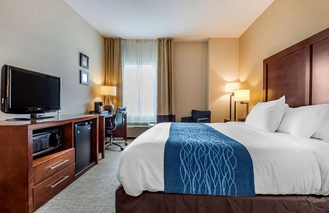 Comfort Inn Apalachin - Binghamton W Route 17-1