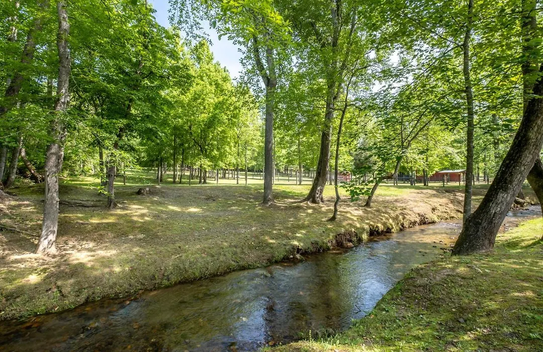 Cobb Creek Cabins-1