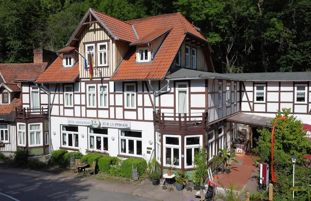 Hotel Zur Luppbode-1