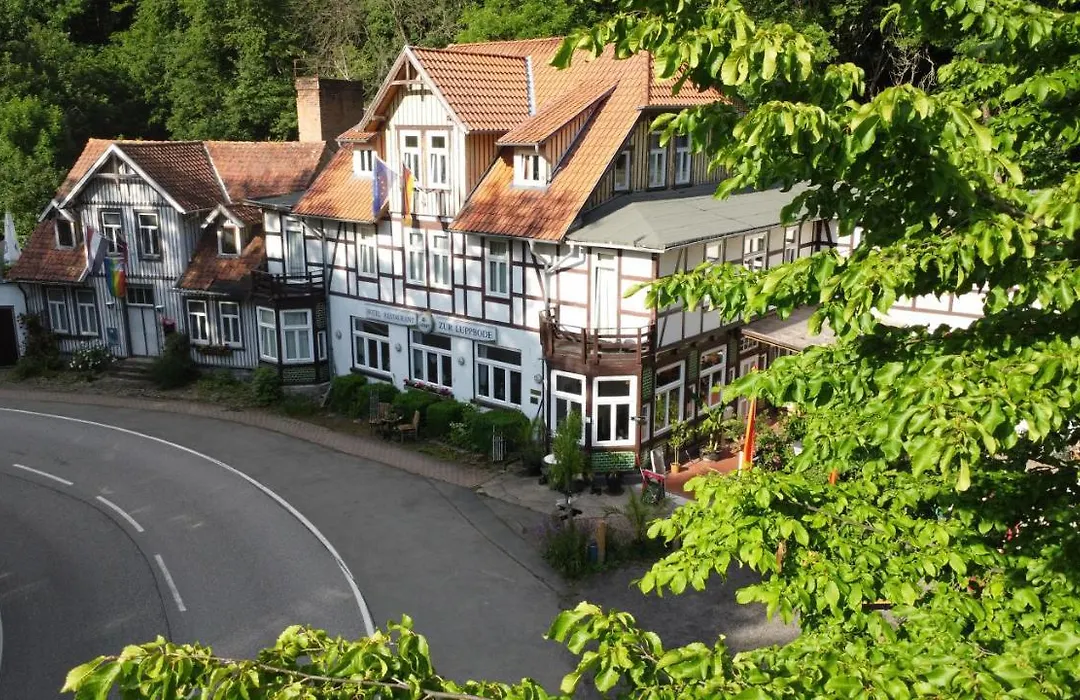 Hotel Zur Luppbode-1