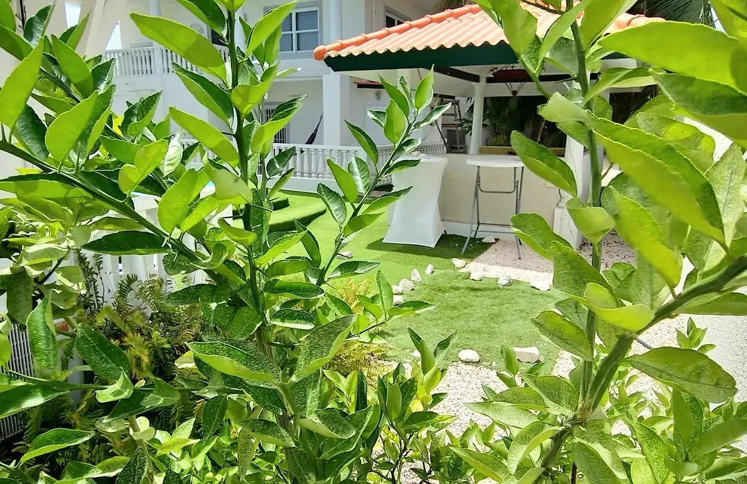 Adonai Hotel Boutique-1