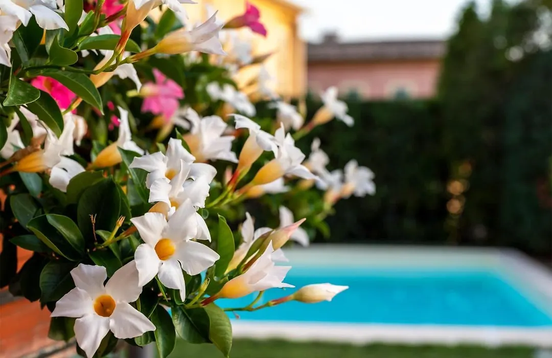 Albergo Ristorante Il Terziere-1