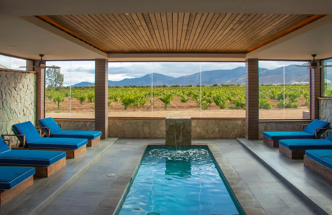 Hotel Boutique Valle De Guadalupe & Spa-1