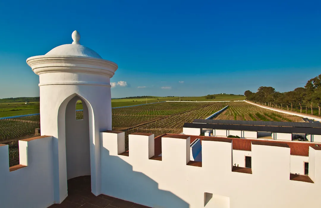 Torre De Palma Wine Hotel, Monforte, A Member Of Design Hotels-1
