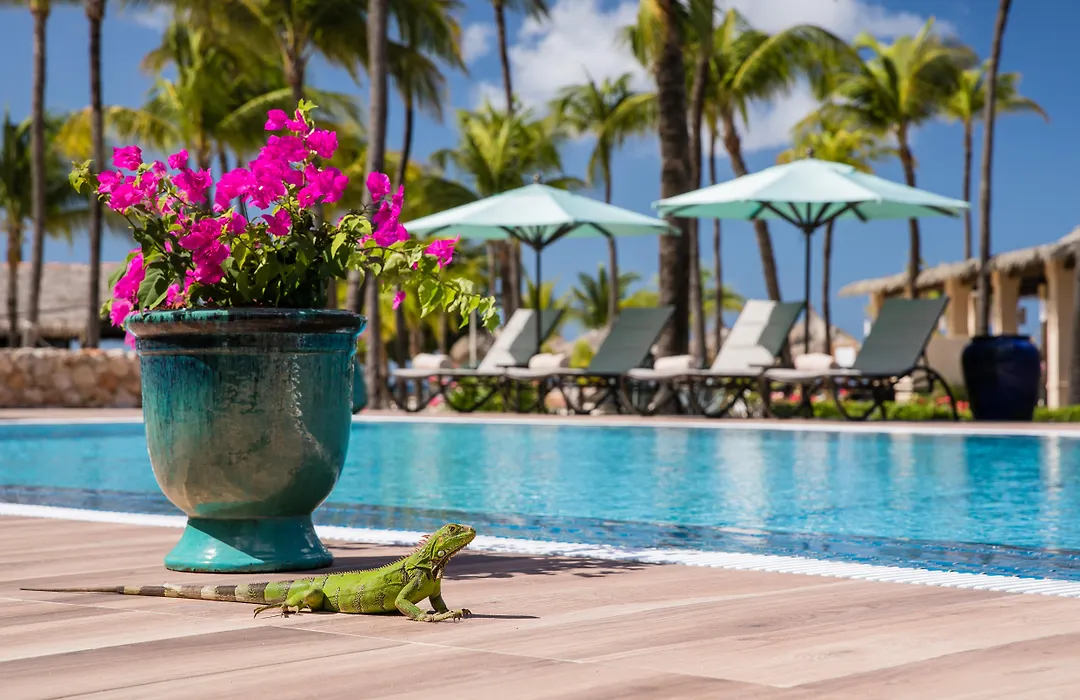 Manchebo Beach Resort And Spa-1
