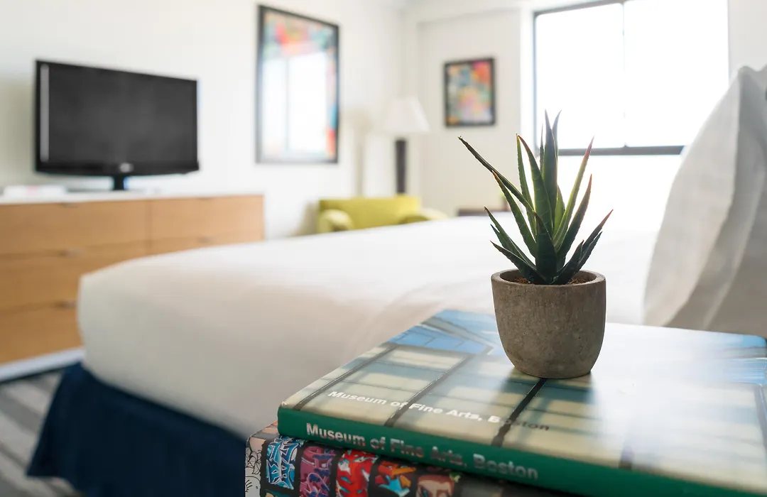 Studio Allston Hotel Boston-1