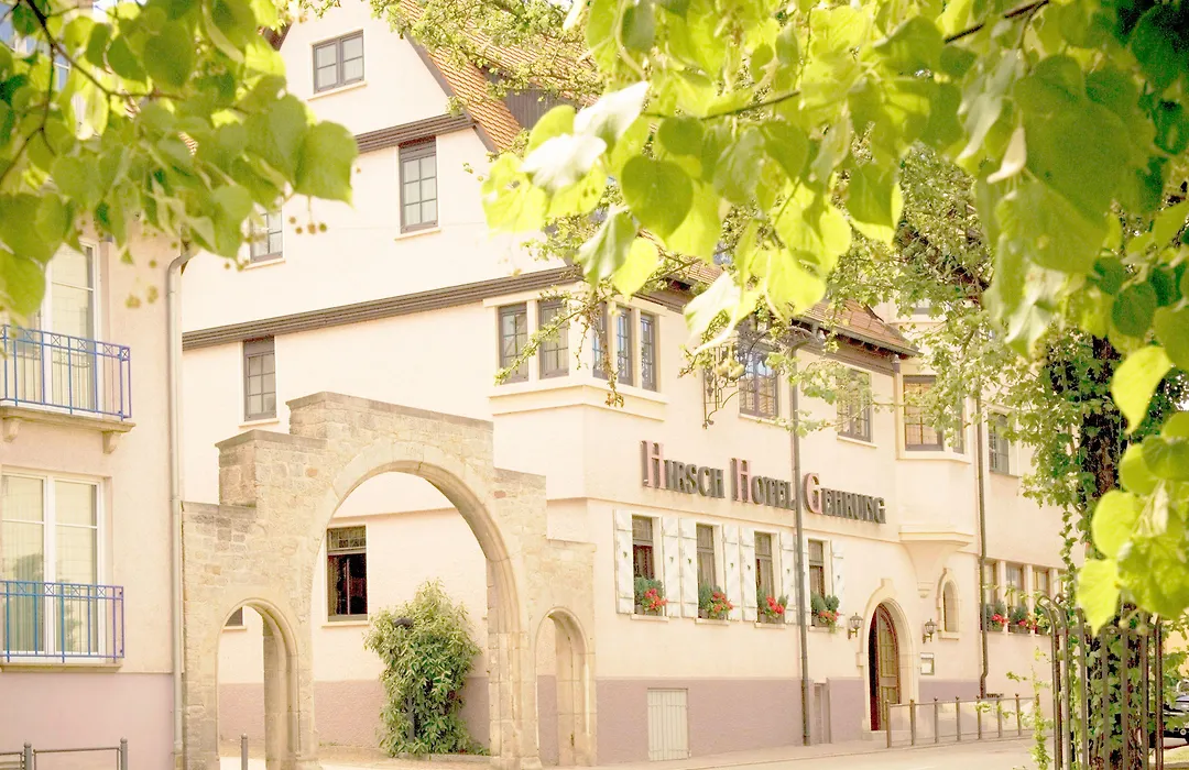Hirsch Hotel-1