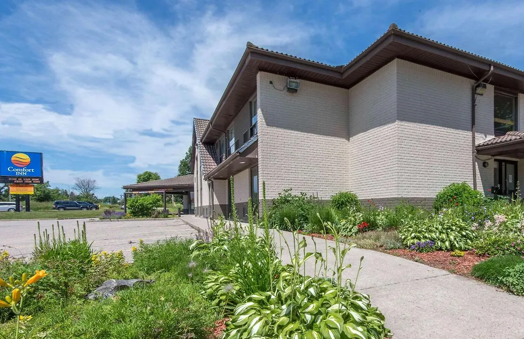 Comfort Inn-1