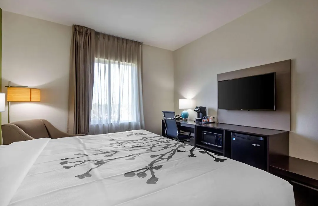 Sleep Inn & Suites Tampa South-1