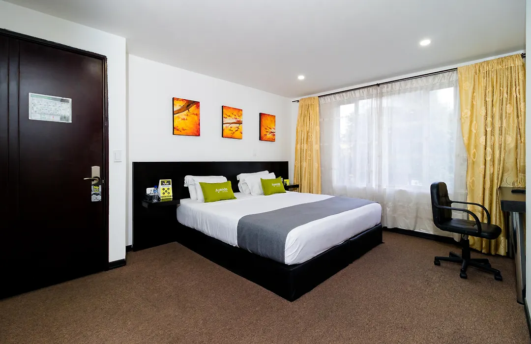 Ayenda 1063 Golden-1