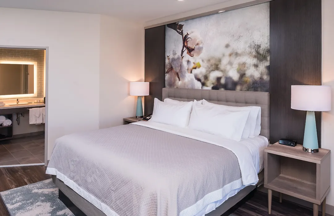 Hotel Indigo Frisco By Ihg-1