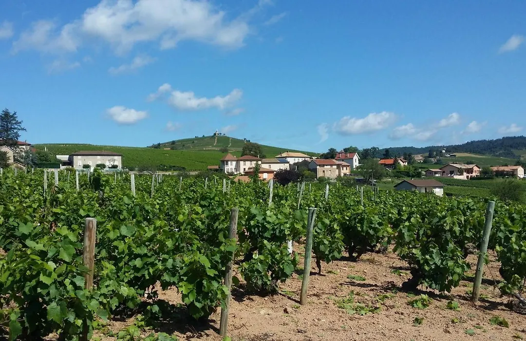 Logis Hotel Des Grands Vins-1