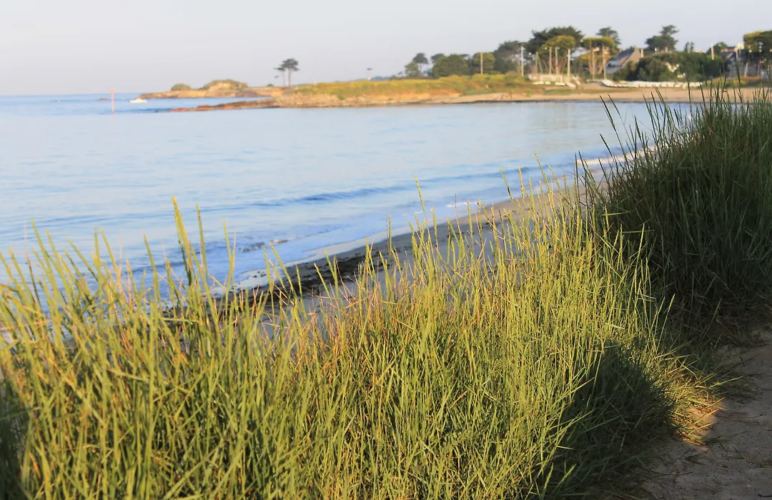 Logis Hôtel&Restaurant LES MOUETTES - Larmor Plage, Proche de LORIENT-1