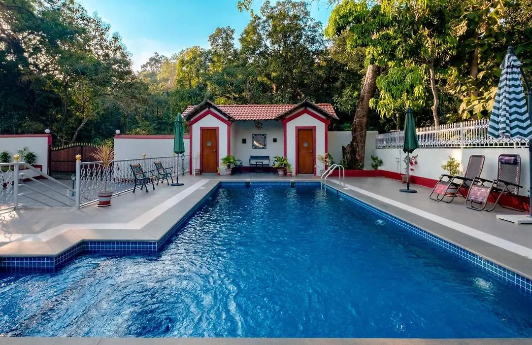 The Figueiredo House-1