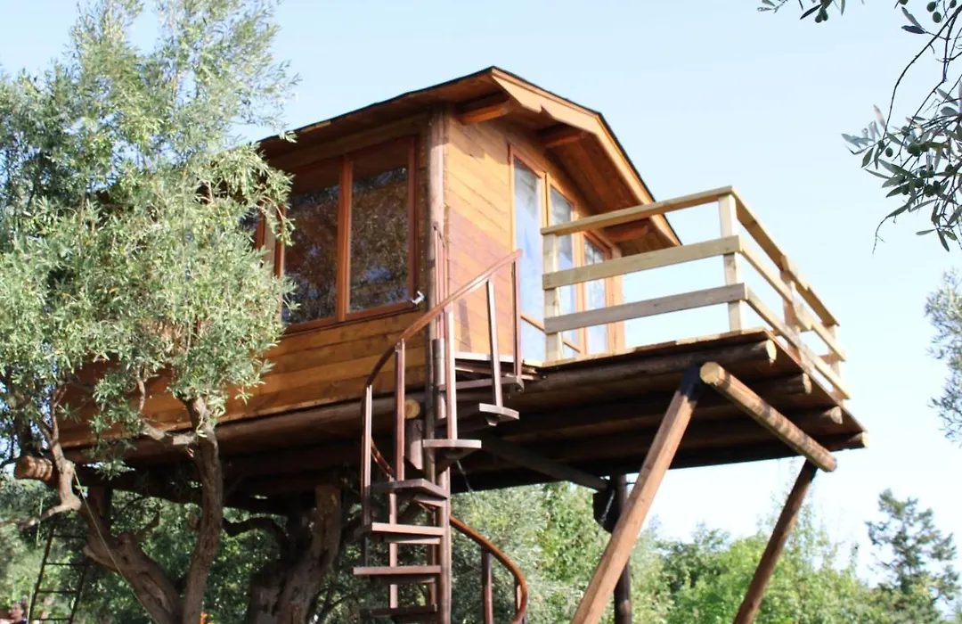 The Treehouse - Casa sull'albero al Golden Camp-1