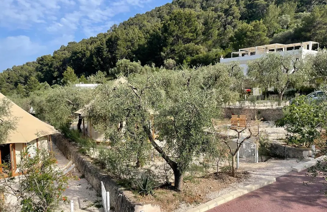 Hmo Glamping & Suites In Vignanotica-1