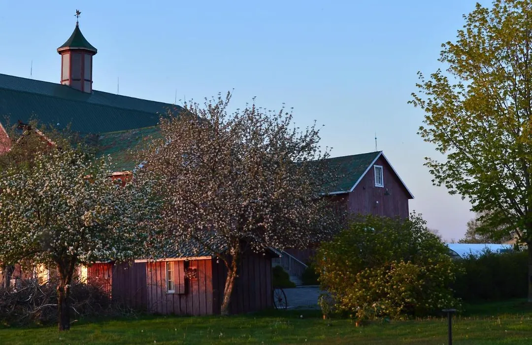 The Eddie Hotel And Farm-1