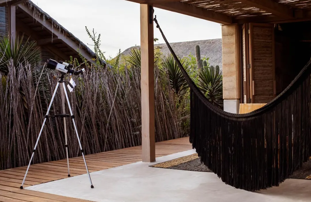 El Perdido Desert Dream- Todos Santos Adults Only-1