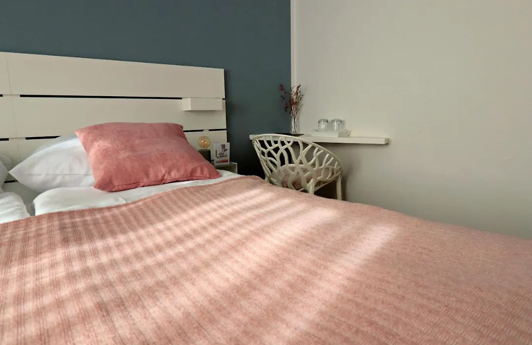 Boutique Hotel Viva Creativo-1