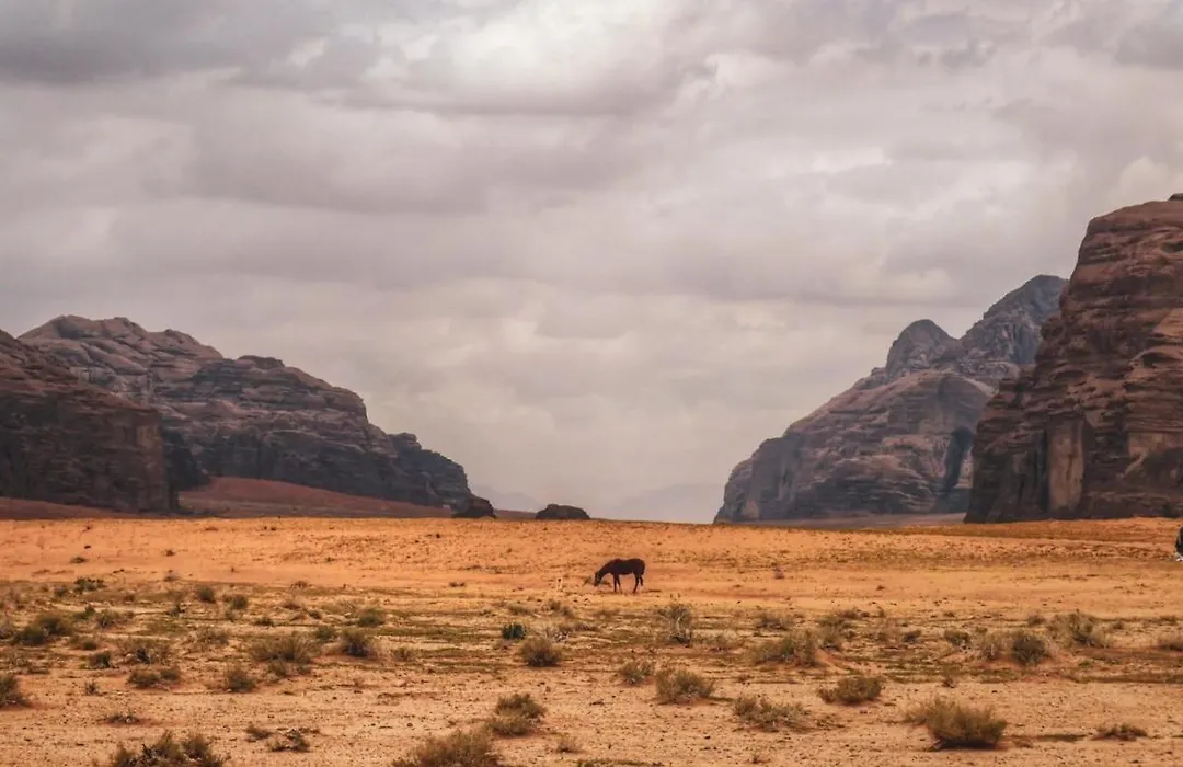 Wadi Rum-1