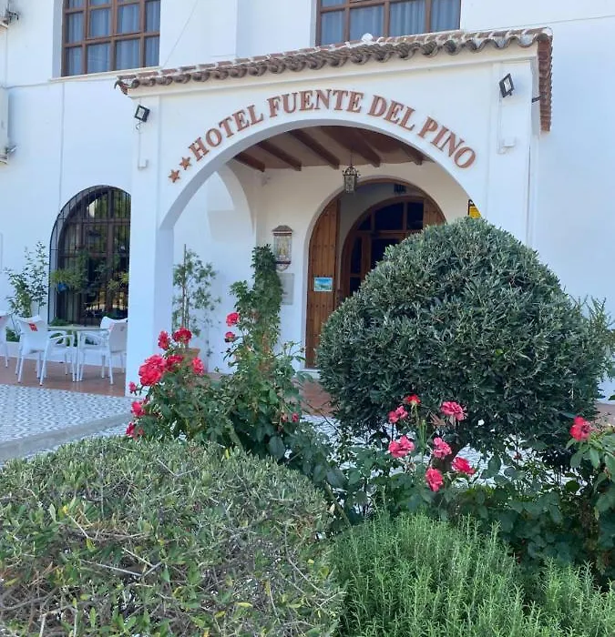 Hotel Meson Fuente del Pino-1