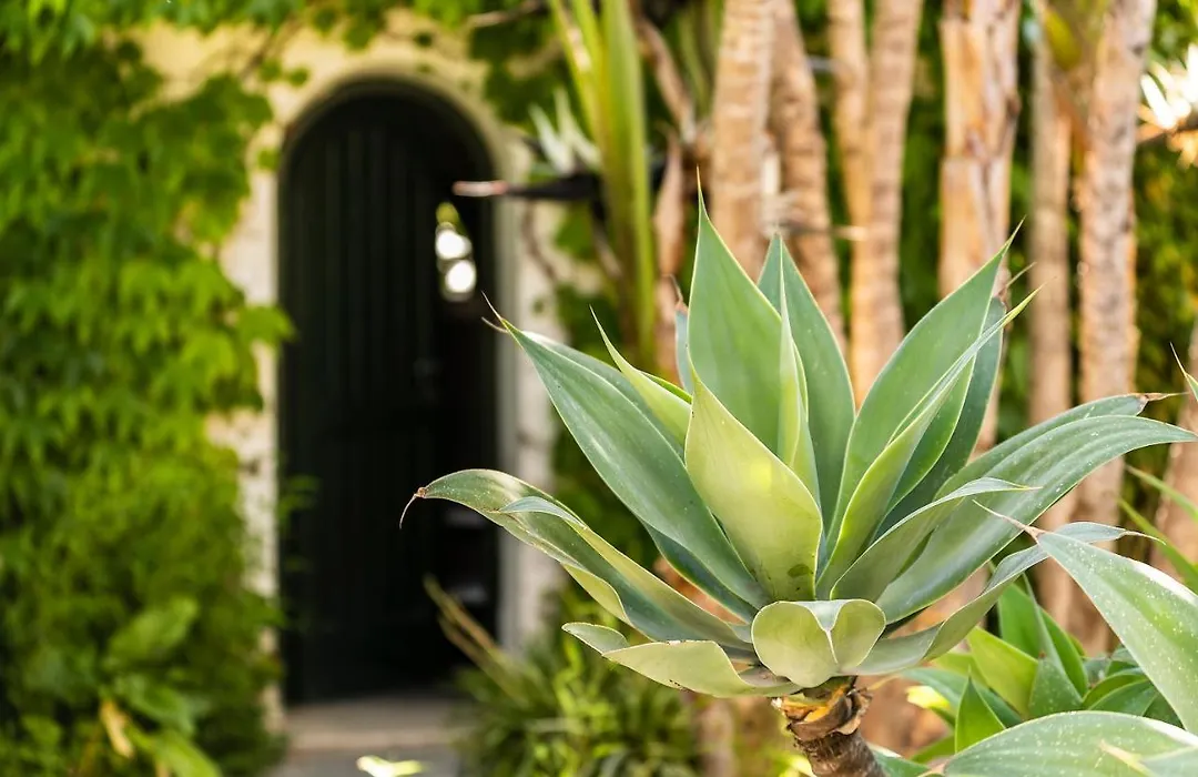 Botania Relais & Spa - The Leading Hotels Of The World-1