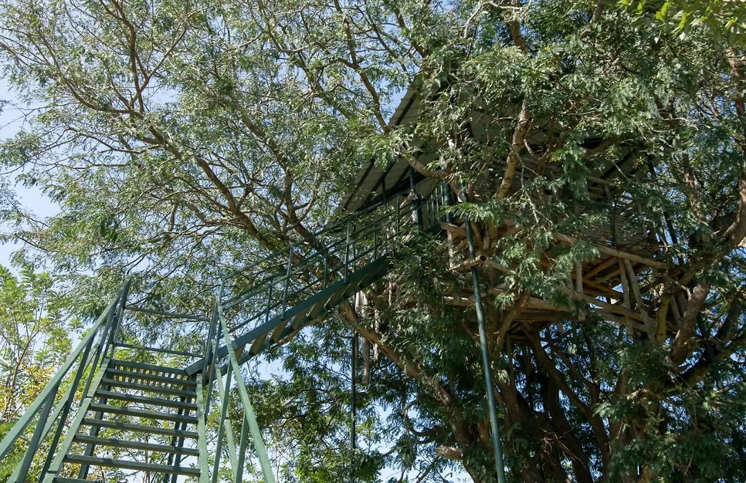 Bamboo Banks Farm & Guest House-1